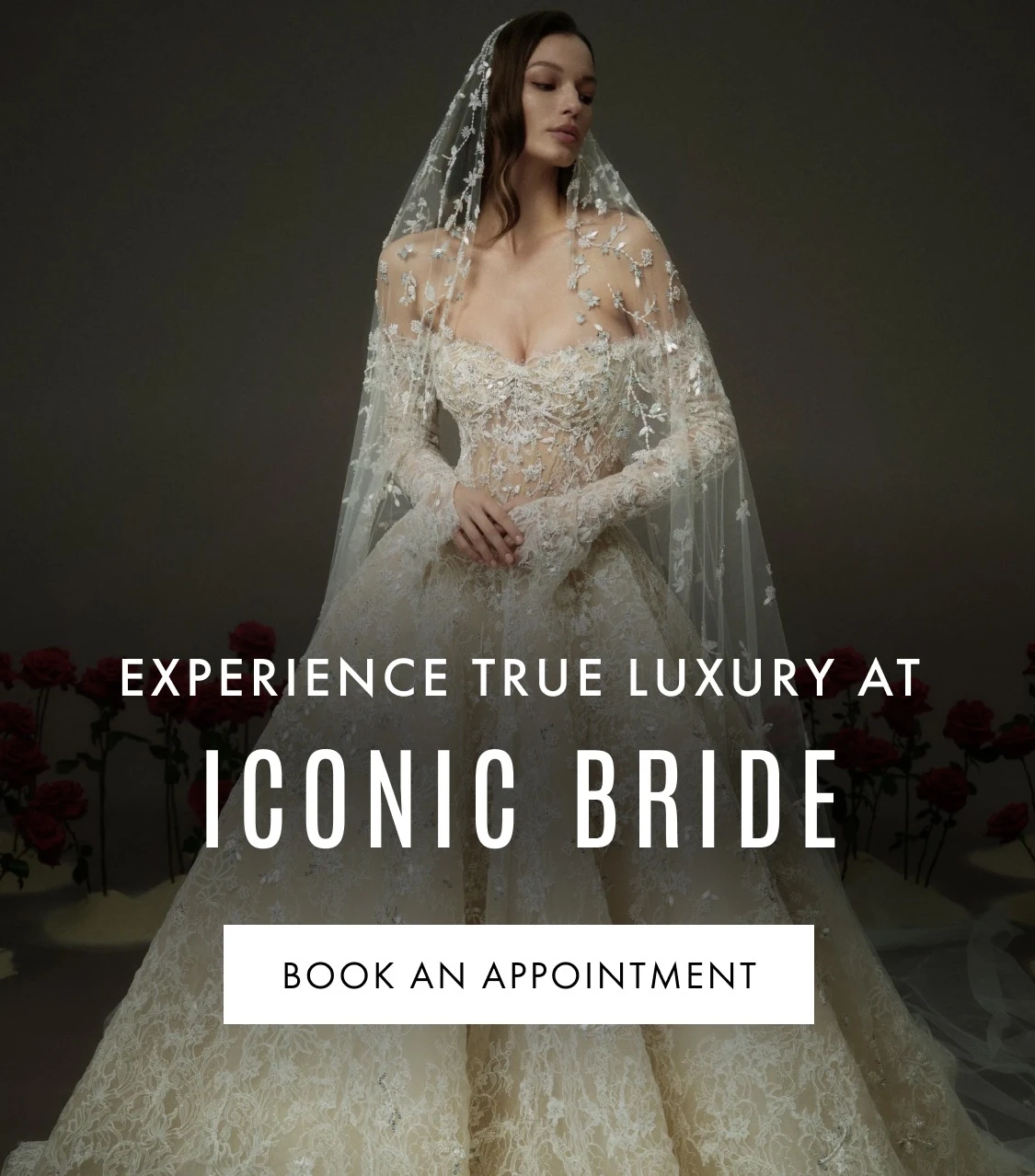 ball gown wedding dresses for 2026