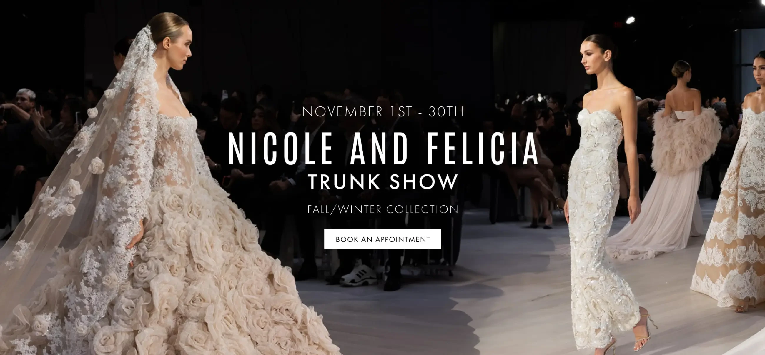 nicole and felicia trunk show banner